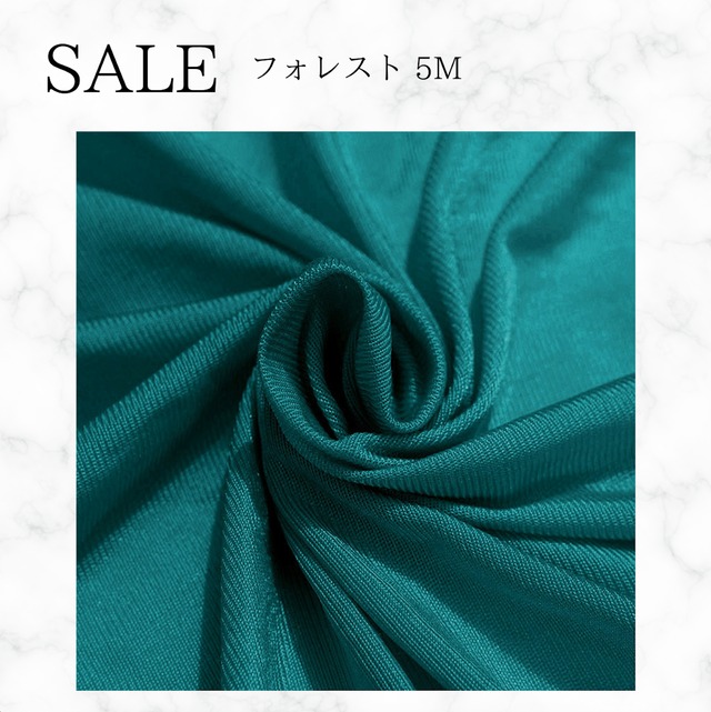 フォレスト５m アウトレット品