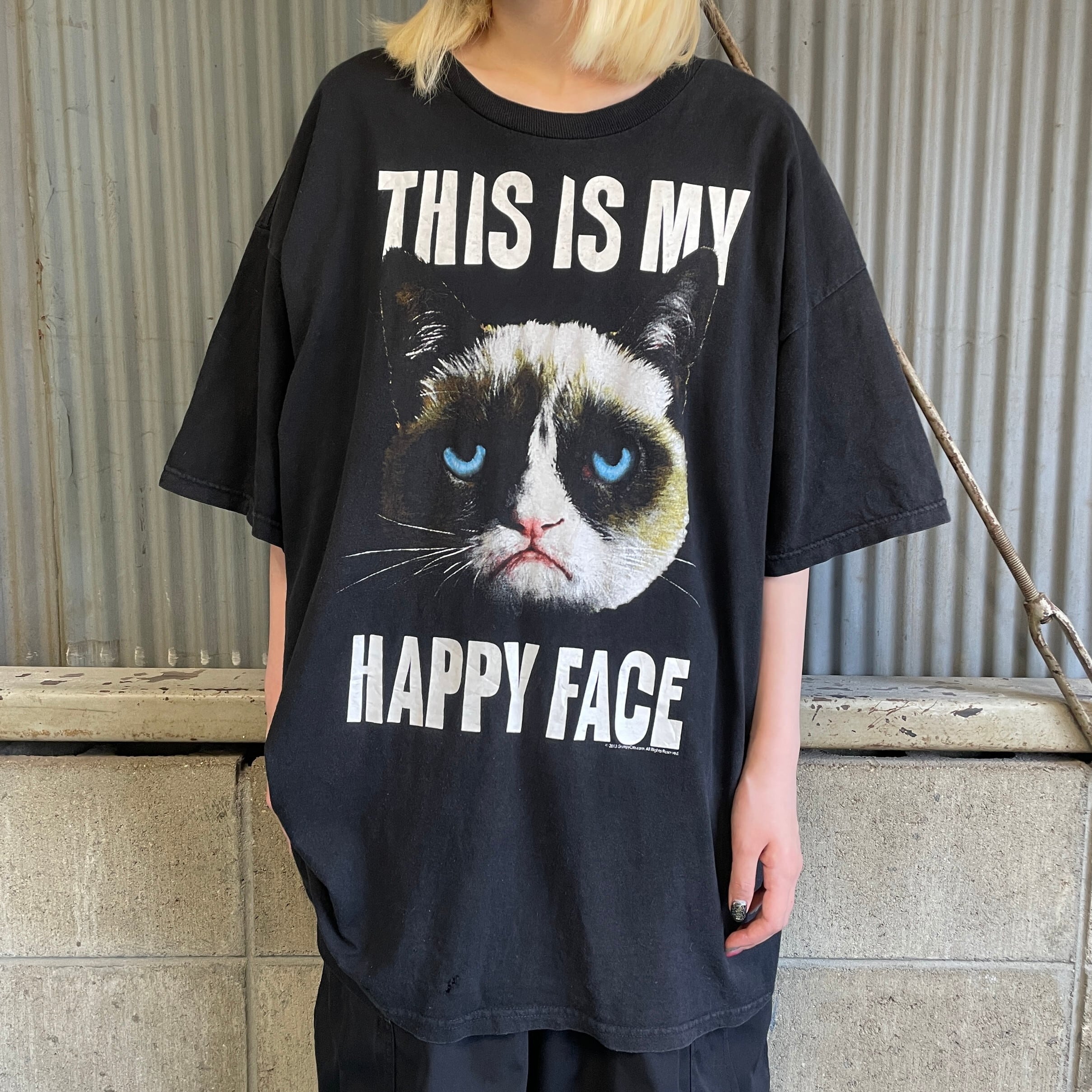 ビッグサイズ GRUMPY CAT 猫 アニマル プリントTシャツ メンズ ビッグサイズ GRUMPY CAT 猫 アニマル プリントTシャツ メンズ