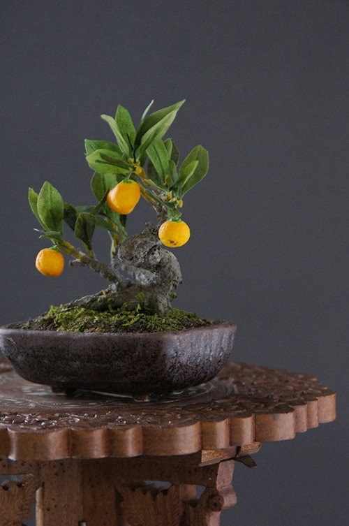 盆栽 ミニみかん Mini orange Bonsai #67（鉢変更）