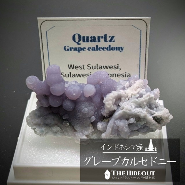 店長気まぐれ仕入れ品020 グレープカルセドニー（グレープクォーツ/グレープアゲート）原石標本 海獣