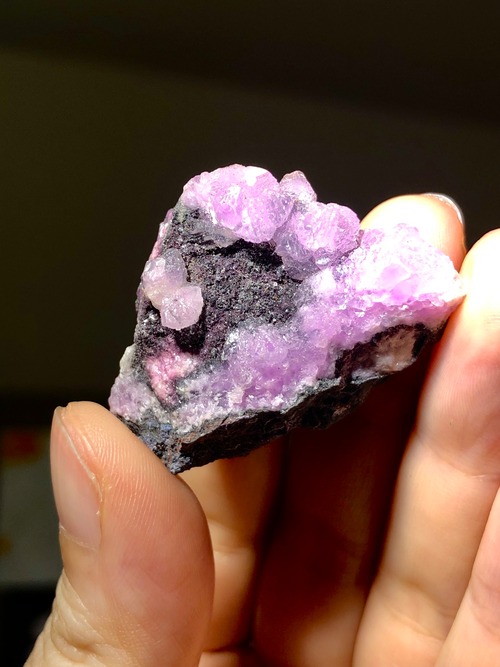 あなたがあなたを愛していく世界