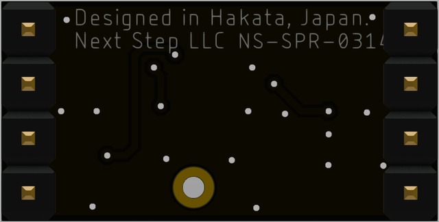 NS-SPR-0314 ネクストステップ 3