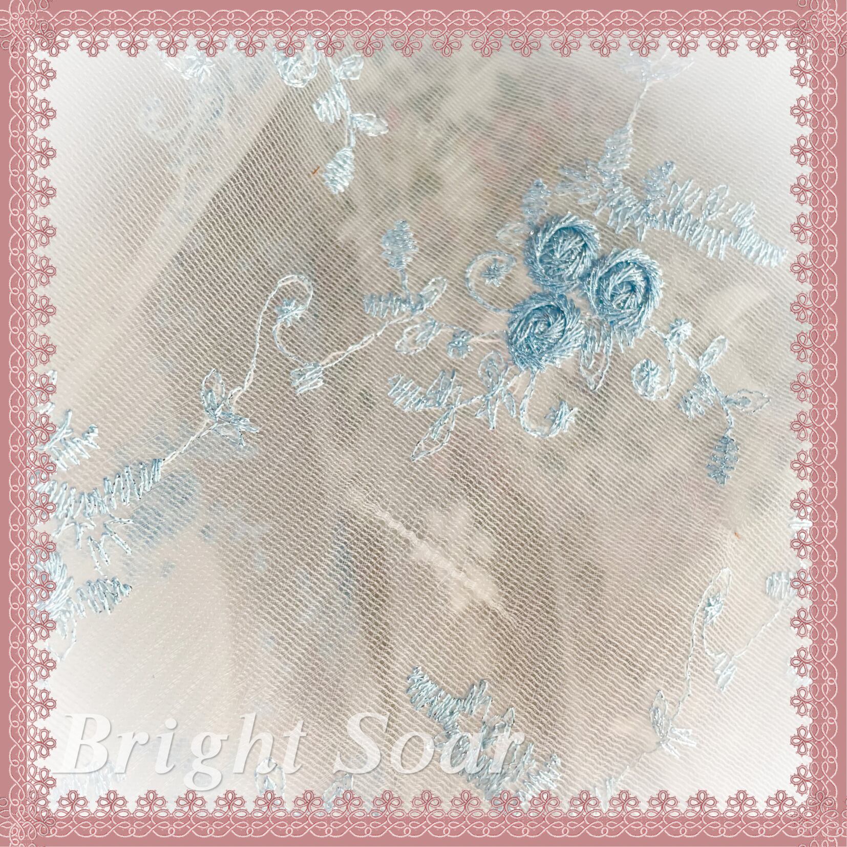 No.701 刺繍 チュールレース 銀糸入り刺繍