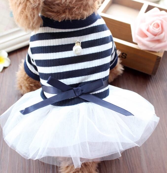 ドッグ 犬 小型犬 室内着 シャツ スカート リボン 一体型 ふりふり 薄手 チュール パール かわいい きれいめ シンプル カジュアル 上品 おしゃれ 個性的 モード系 エレガント ラブリー キュート プリンセス フェアリー 都会的 カレッジ風 ベーシック プレッピー シンプル フレンチ シック ボーダー ストライプ 夏 サマーシーズン 女の子 成犬 デート お出かけ イベント リゾート 旅行 公園 休日 ガーデン ショッピング ツーリング ガーデン ウォーキング 室内 おうち 普段使い