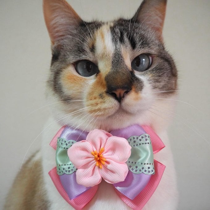 犬猫チョーカー プチサイズ ふわふわフラワー リボン 犬用 猫用