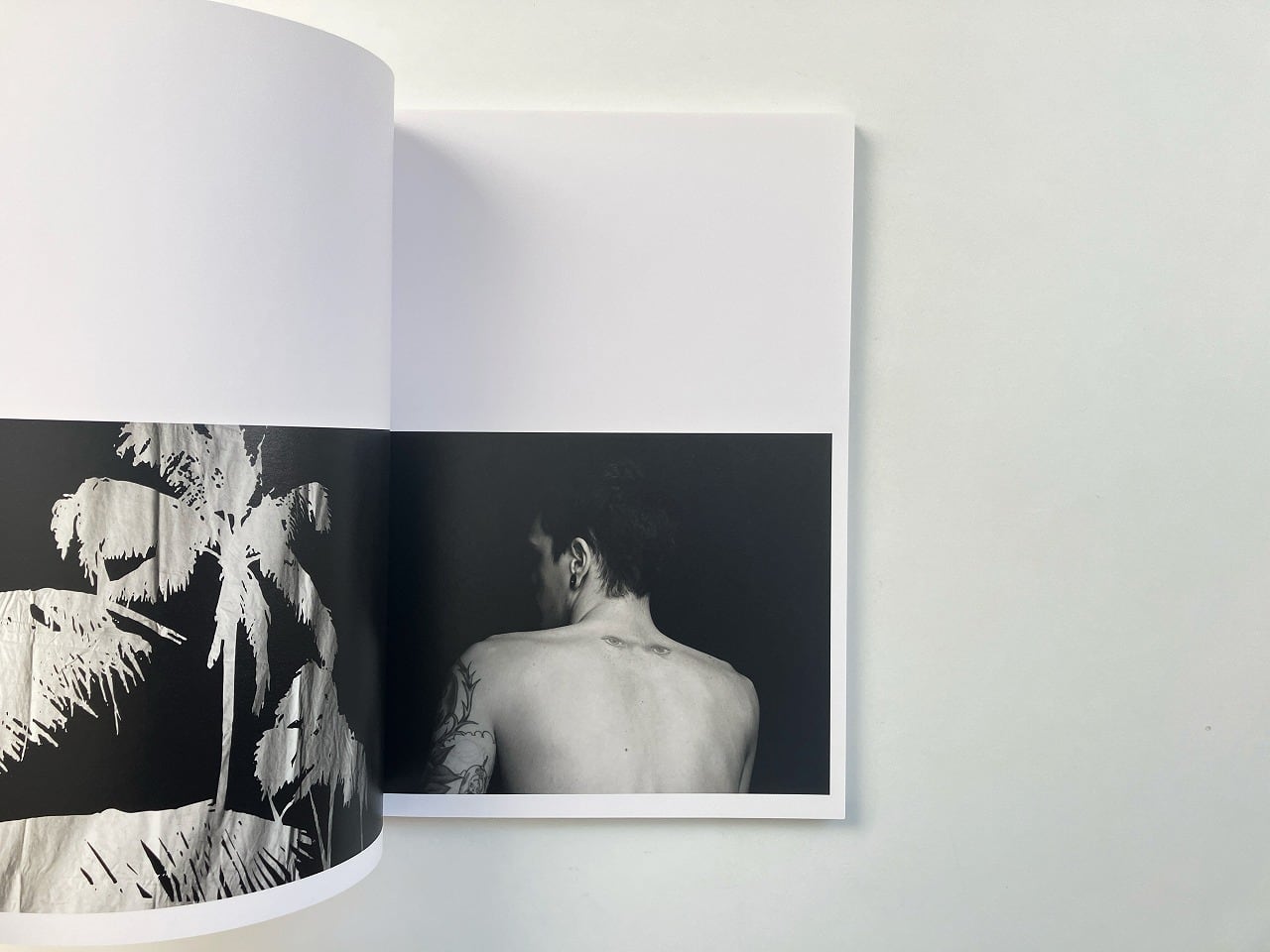 エディ・スリマン Hedi Slimane | Rock diary | 翠ブックス | suibooks