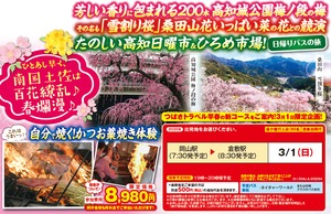 2020年3月岡山発,高知城公園の梅の花と雪割り桜とにぎやか高知日曜市日帰りバスツアー8980円