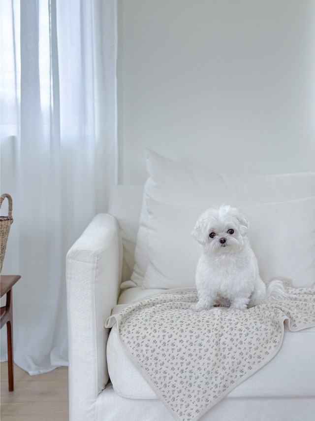 〈予約アイテム〉EYOU - ヴィンテージフラワーブランケット