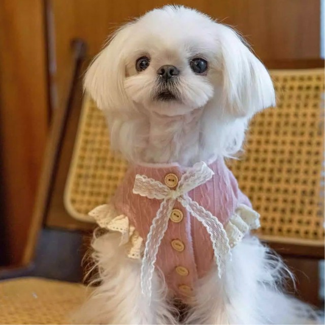 【海外ハンドメイド】レースリボン付ガーリートップス　犬服　01070