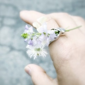 The Day / Ring