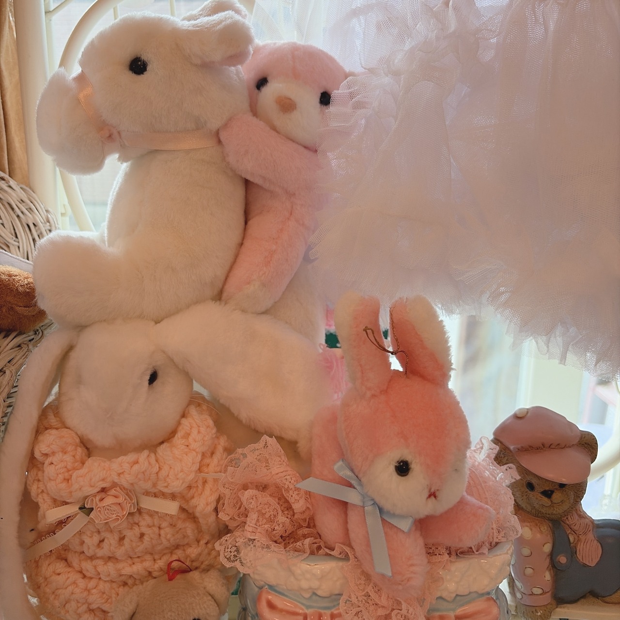 mini bunnyの画像04