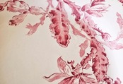 フランス 1886s~ Cactus 薔薇色のサボテンとプレートd GIEN ジアン アンティーク