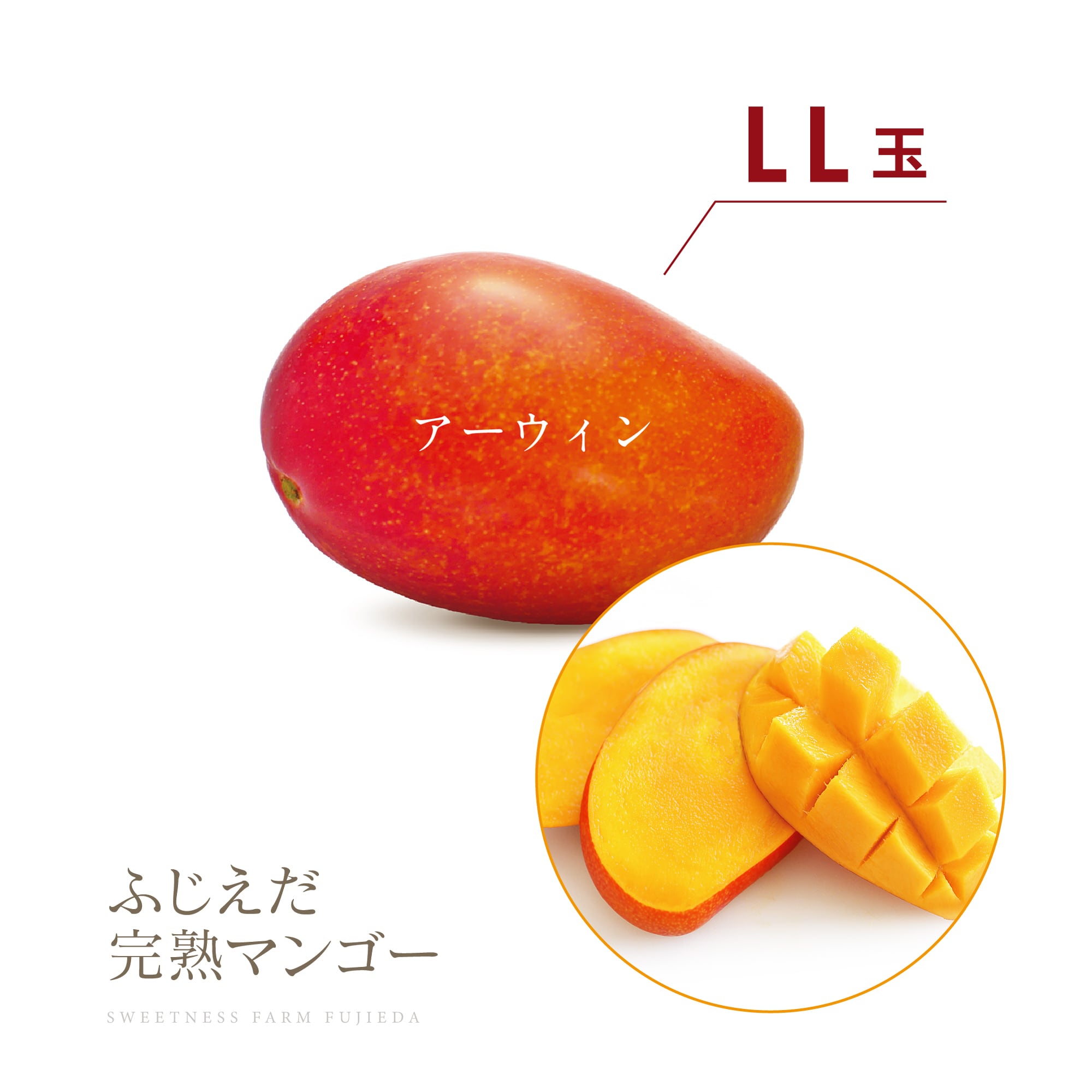 2026初物!【アーウィン】LL玉 ※先行予約用