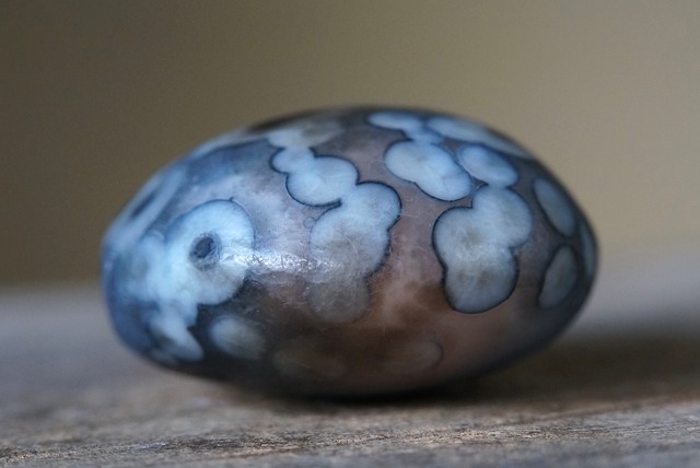 ゴビアゲート Gobi Desert Eye Agate 525