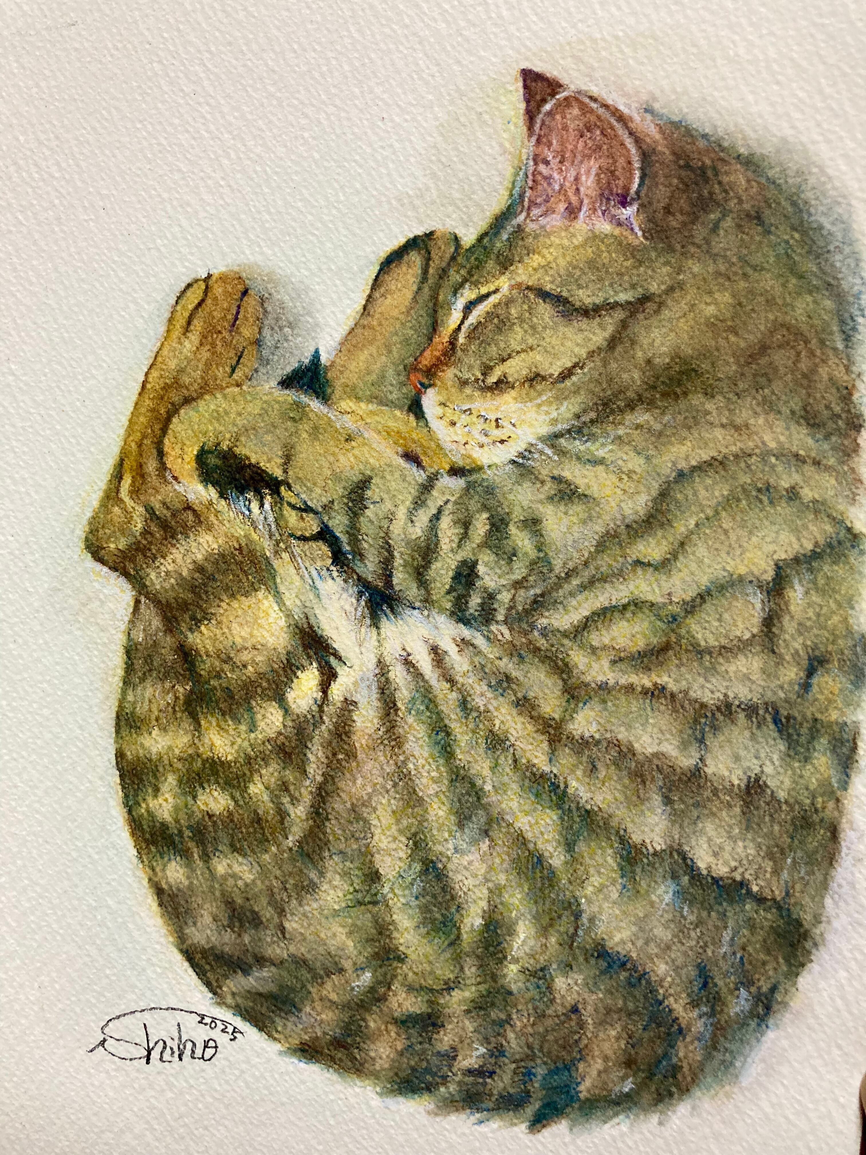 翡翠色の瞳の猫(パステル画） | PAY ID