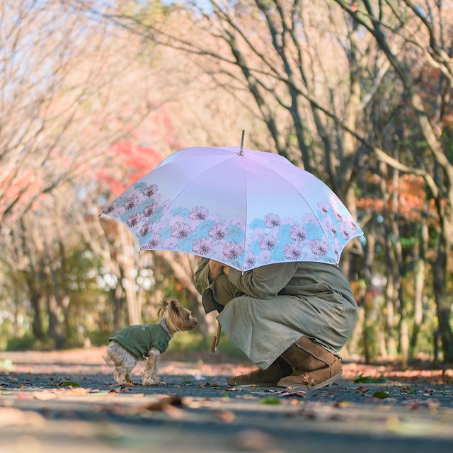 OSOBA晴雨兼用雨傘【槙田商店コラボ】わんことおさんぽ　半永久的に紫外線を防止する傘