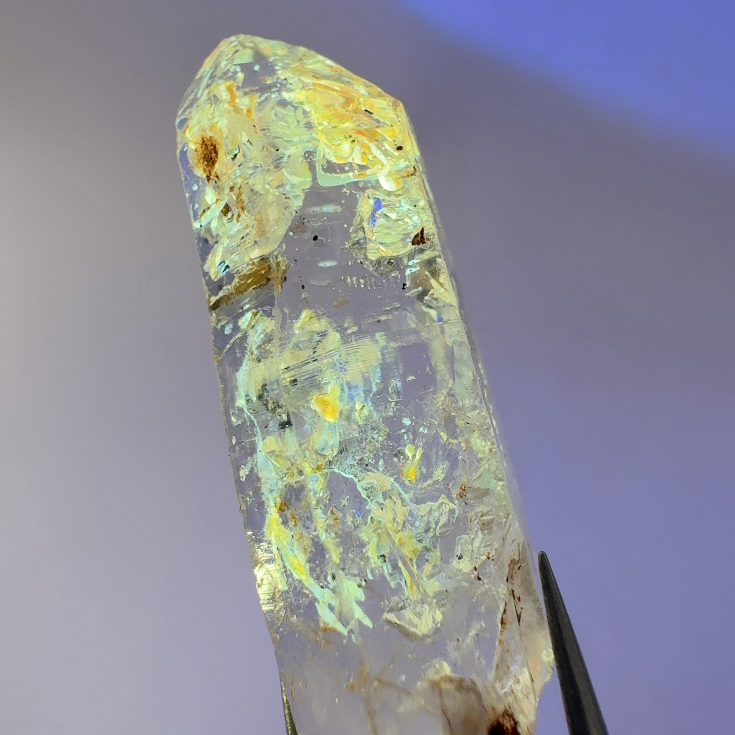 オイルインクォーツ クラスター 水晶 標本 鉱物 原石 オイルインクォーツ クラスター 水晶 標本 鉱物 原石 【公式通販】