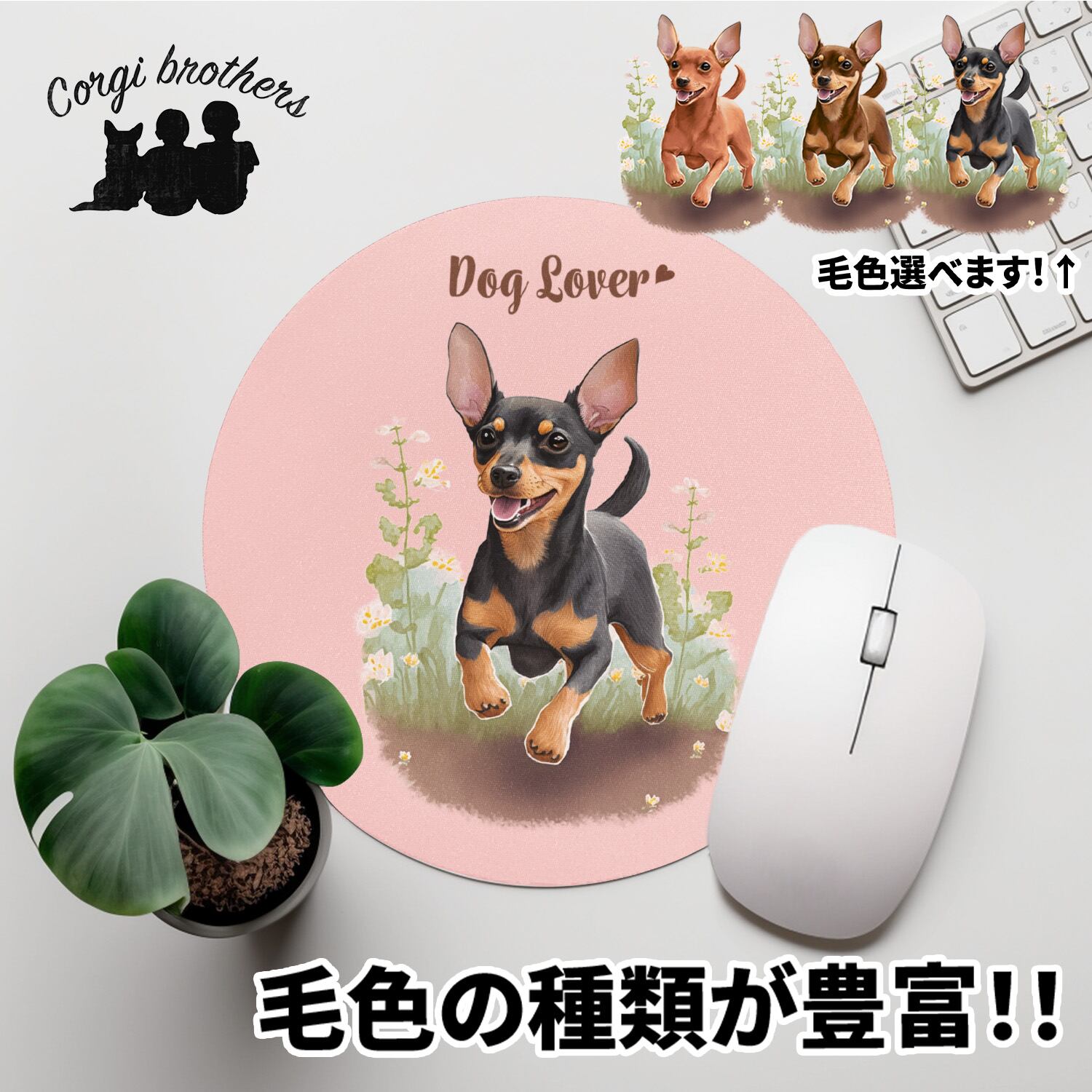 ミニチュアピンシャー | Corgibrothers