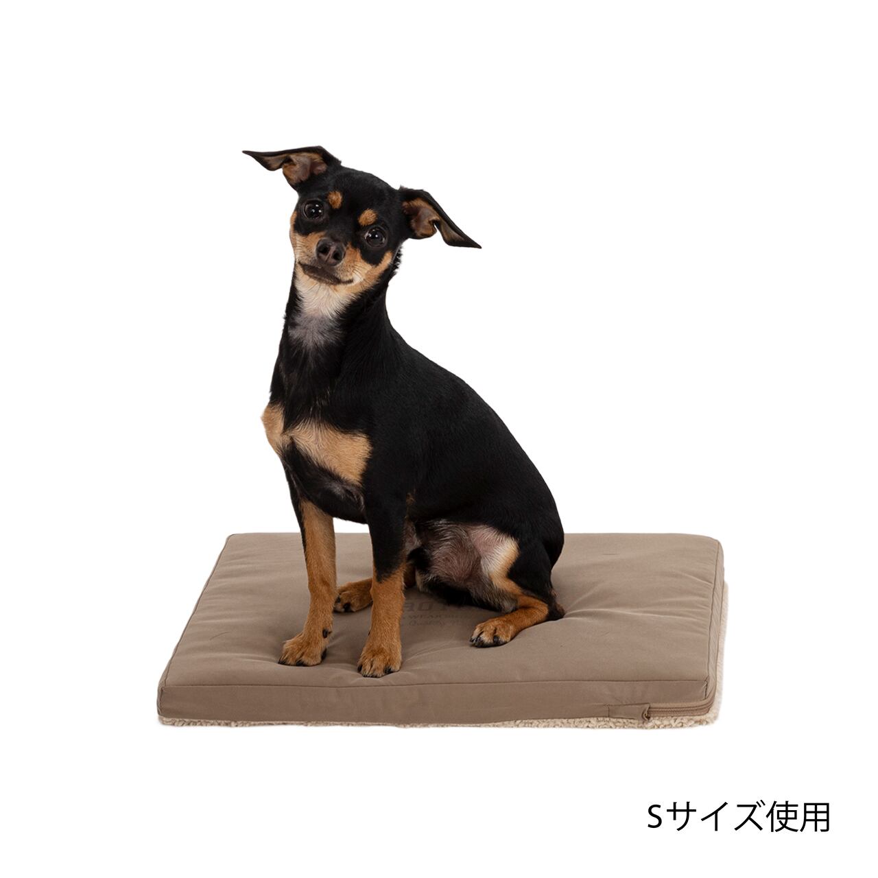 LIVE WAN メモリーマット Sサイズ