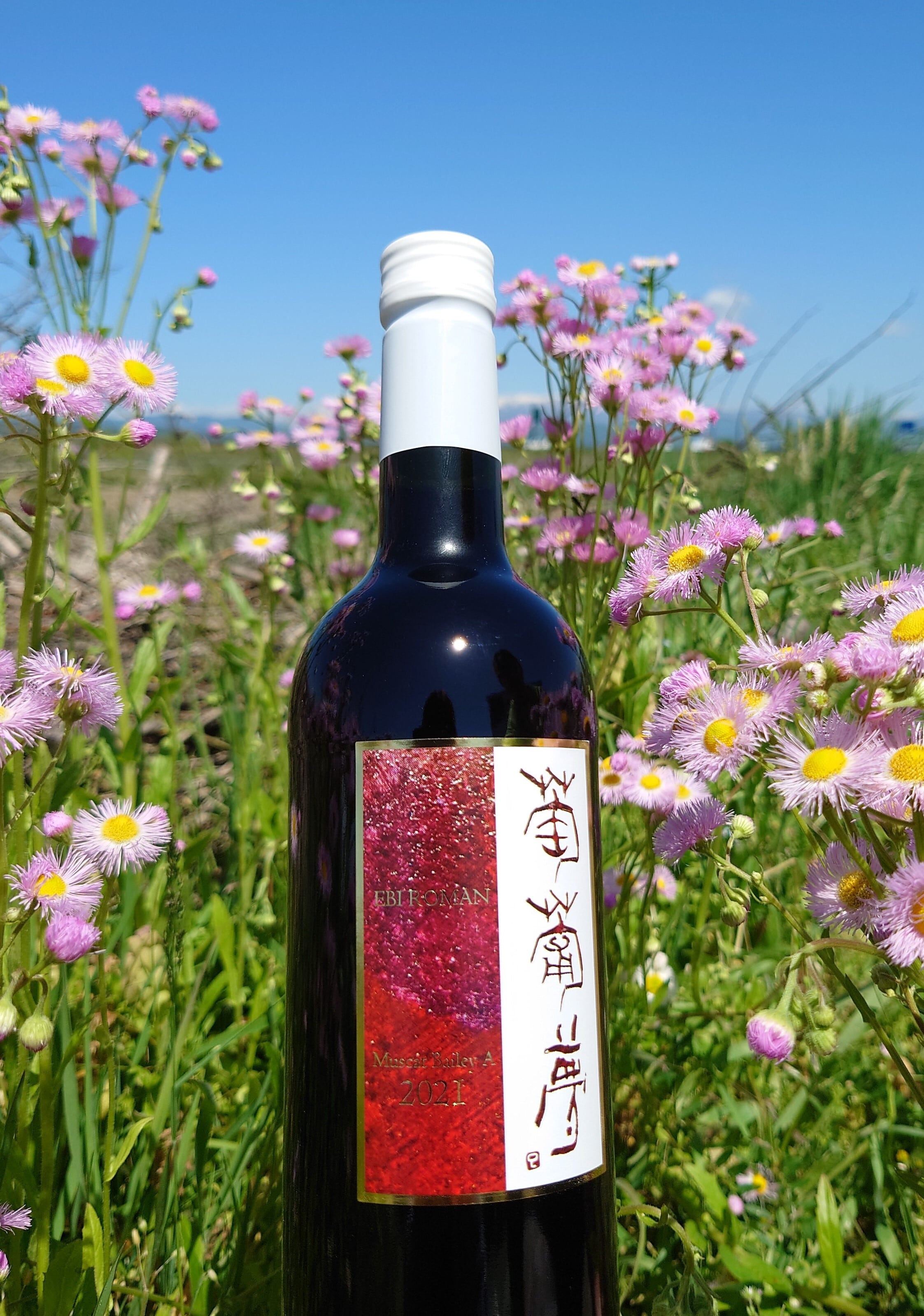 葡萄夢マスカット・ベイリーA 2021 | WINERY JUN