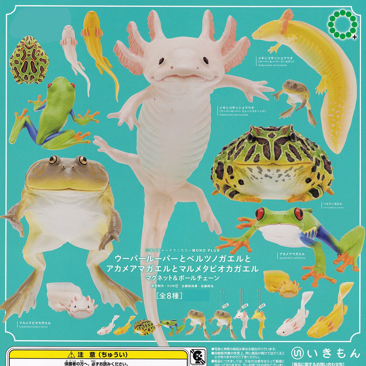 c9c4ef2617d0677fbef6175e927646