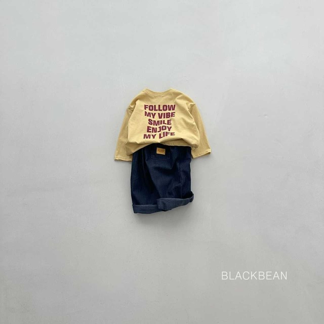 《送料無料》予約:バイブT【blackbean】