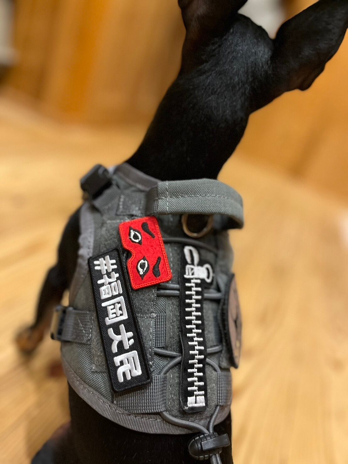 福岡犬民 パッチ（ベルクロタイプ）vol.3 | Pay ID