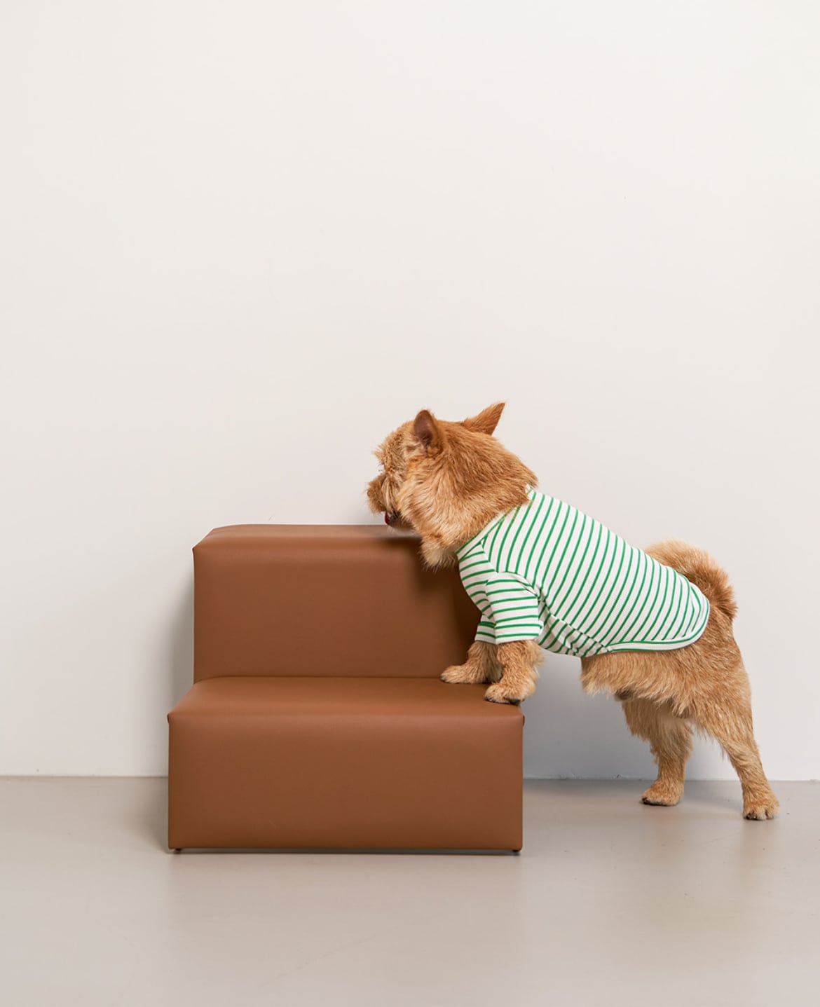 small stuff for pet Dig Step ビーガンレザー犬用階段 DIG STEP LEATHER | ote.
