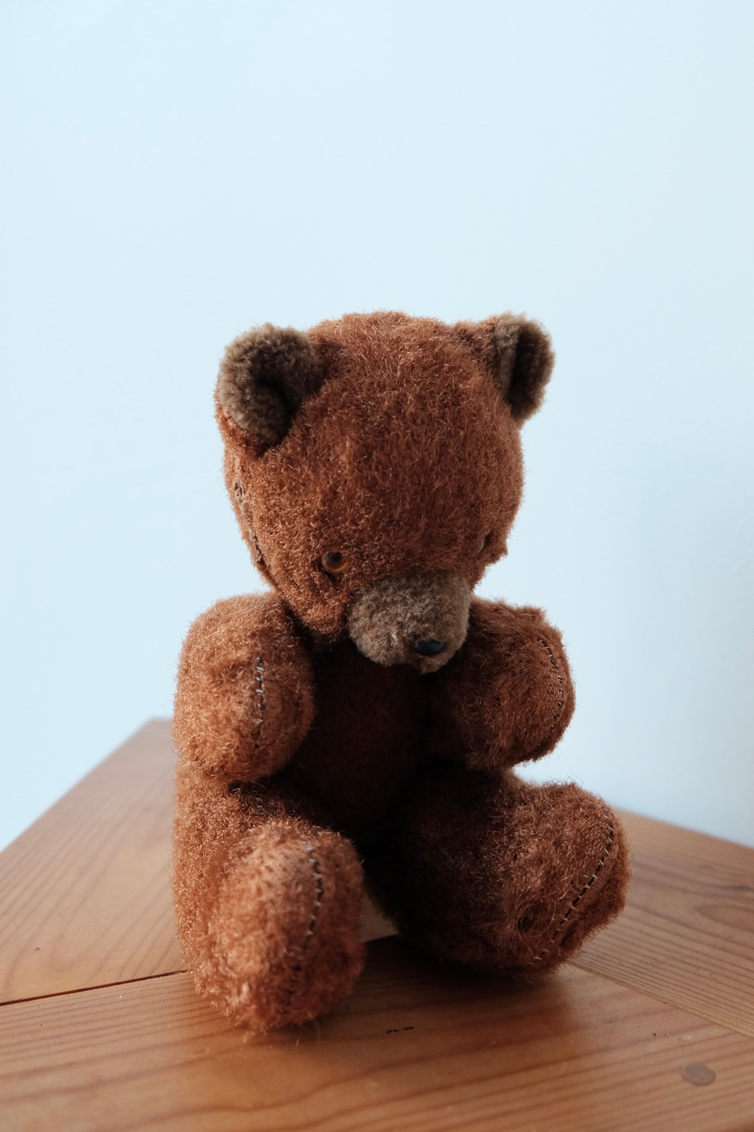 Russian little bear | QUARTER PAST FIVE