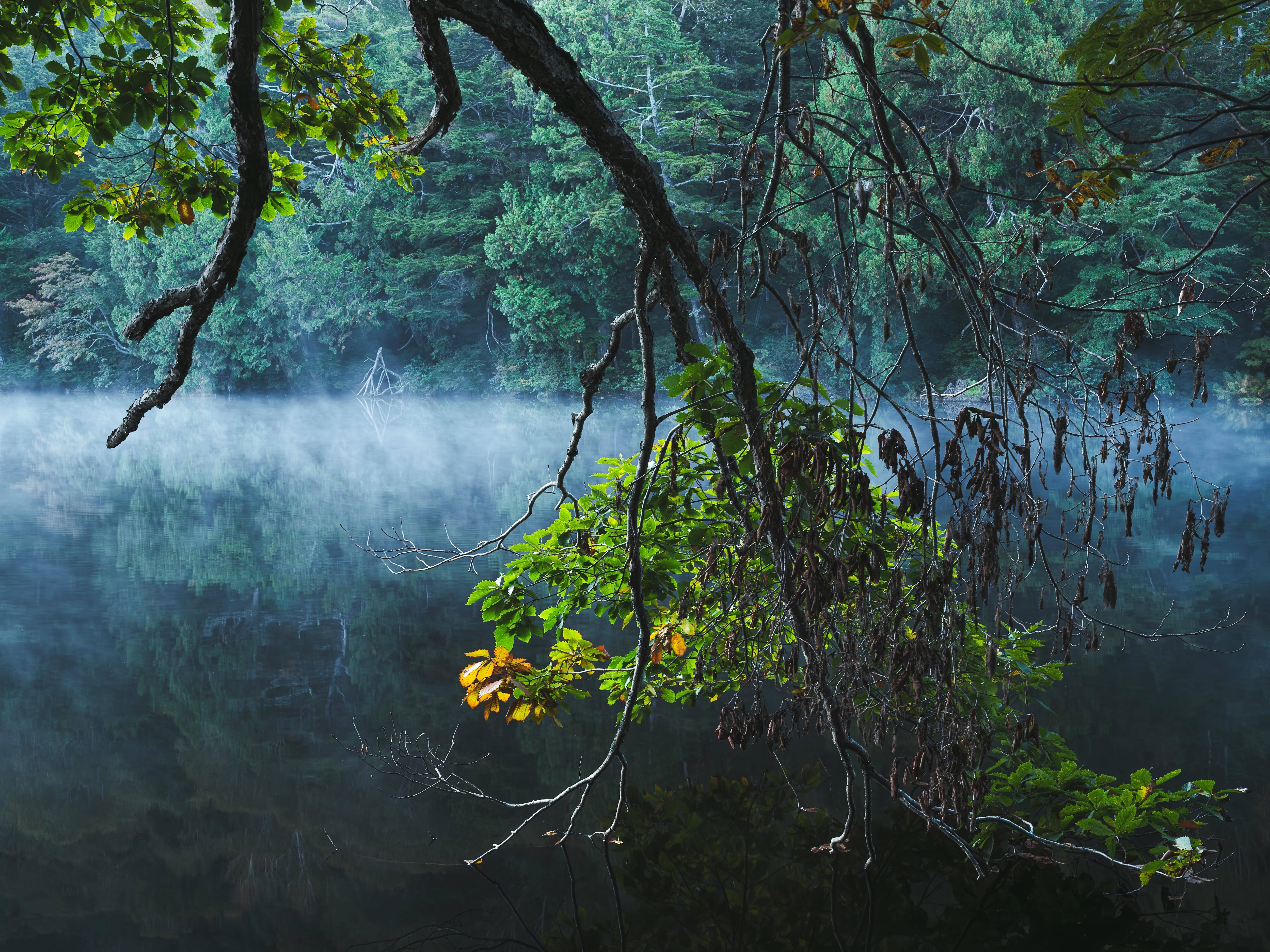 【Kyubi展示品】・霊池 木工パネル