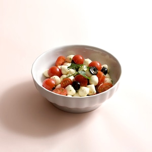 サタルニア リブボウル 17