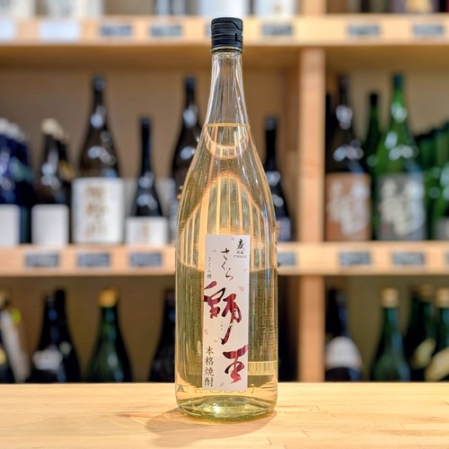 寿海 さくら師王 1.8L【麦焼酎】