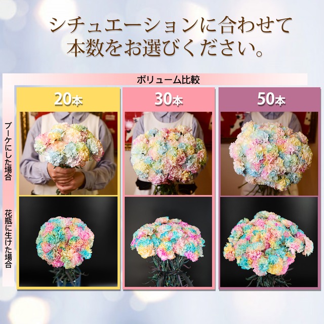先行予約 バイカラー系 おまかせミックス カーネーション詰合せ 30本セット Tsuyoshi S Flowers