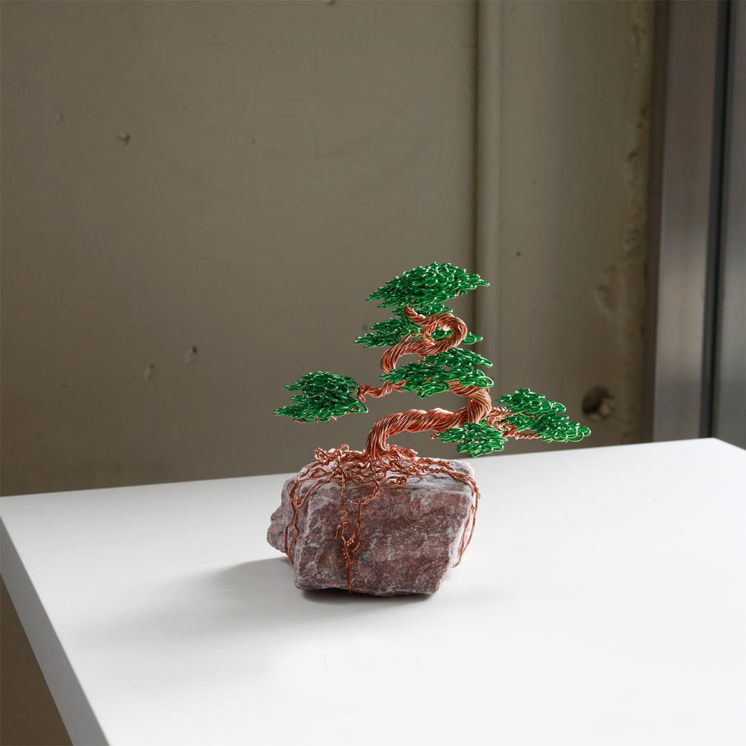 オマケ　生ホワイトセージ White Sage 30g (ホワイトセージ) | FREEPARK