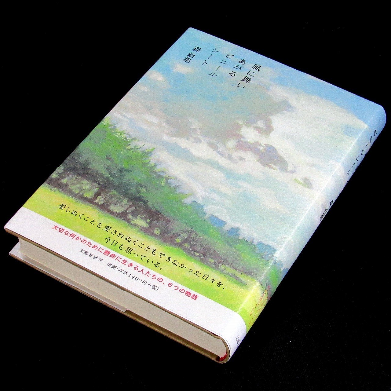 サイン本】 直木賞 『風に舞いあがるビニールシート』 森絵都 | aonekodo 