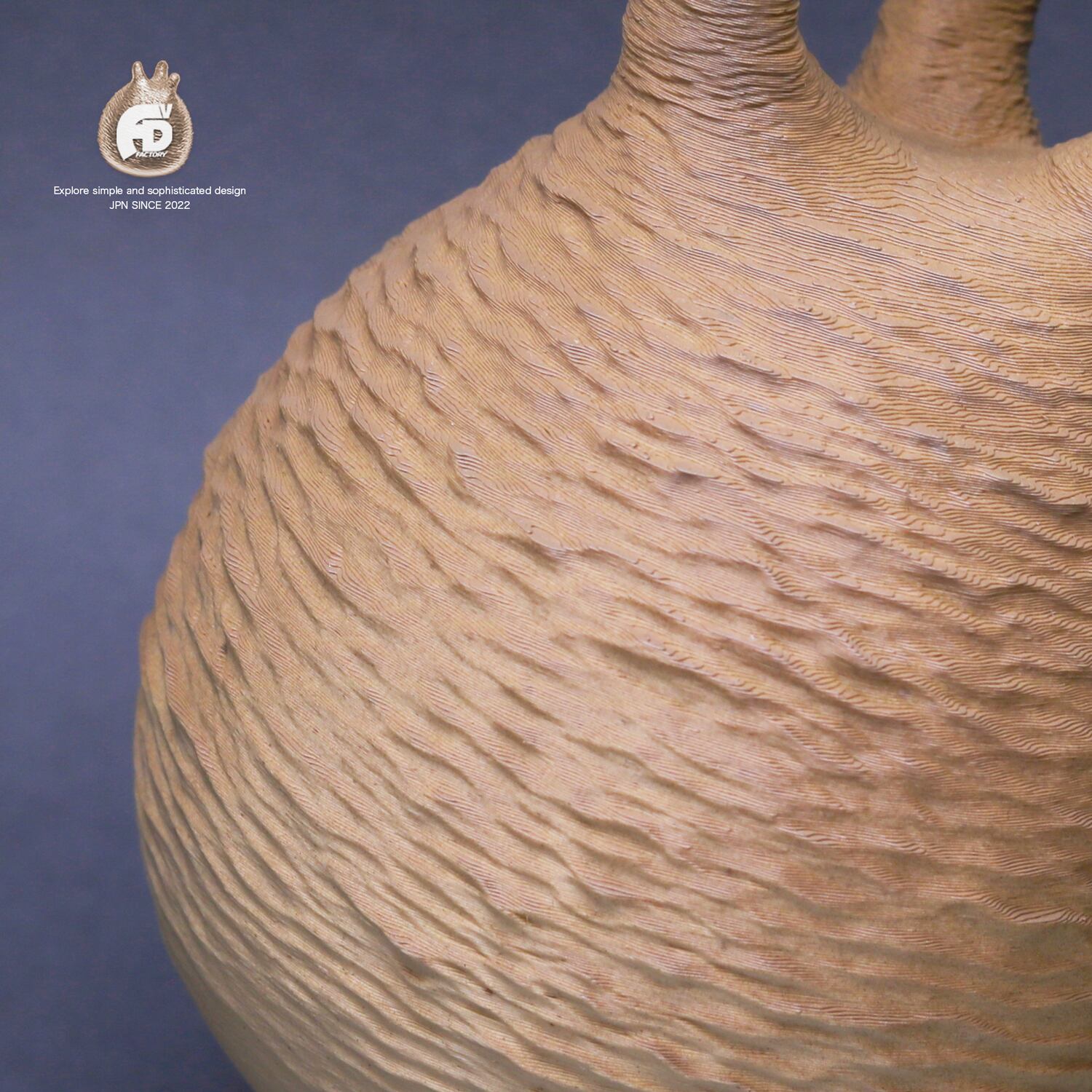 触れたくなるCaudex造形｜パキポディウム グラキリス｜ オブジェ