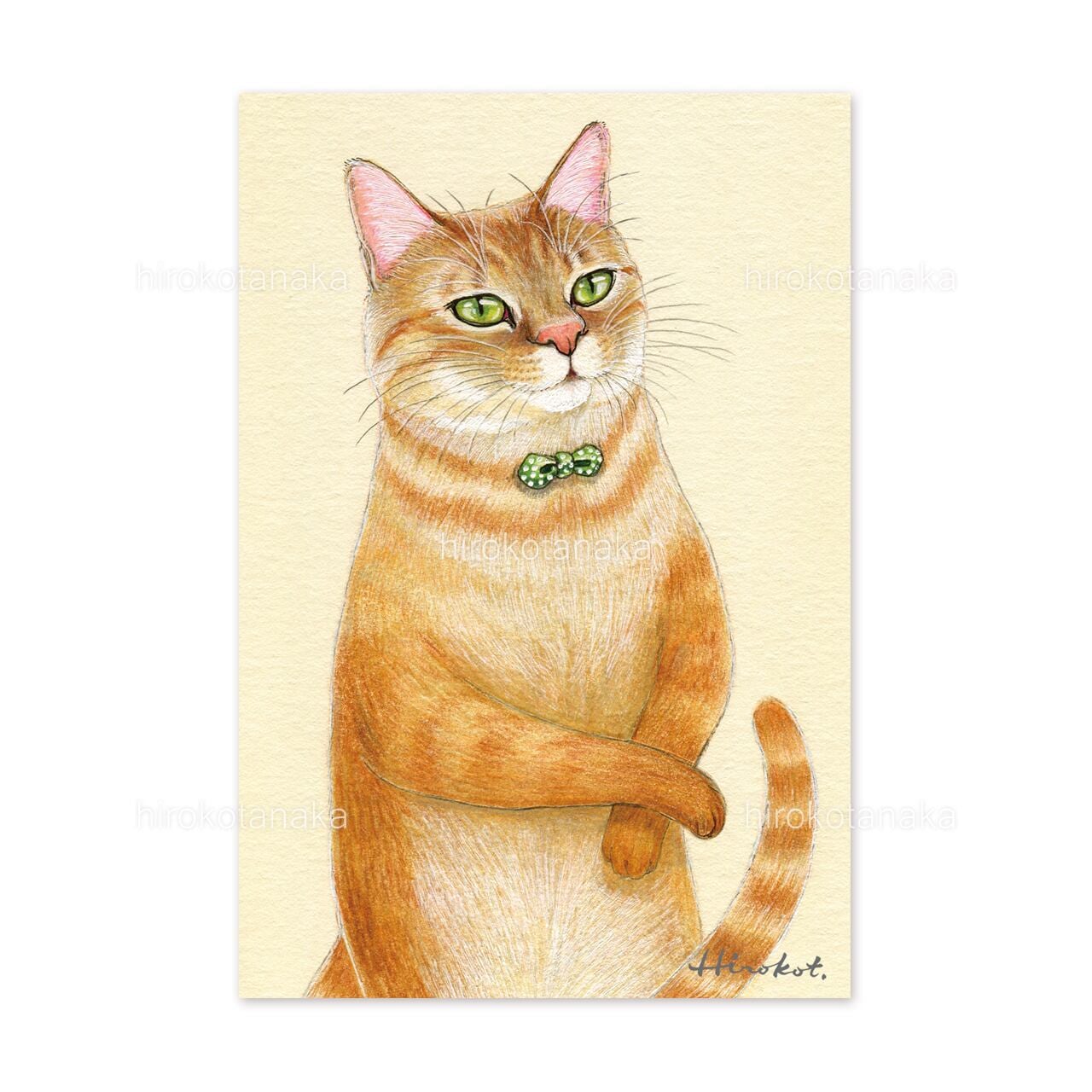 ポストカードAセット 18枚 / Set A of 18 Postcards | たなかひろこ