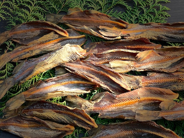 岐阜県産渓流魚　岩魚の燻製（ソフト）