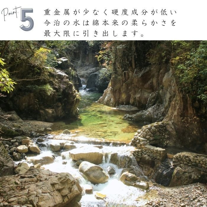 4枚セット 今治タオル ハンカチ 日本の吉祥文様「七宝文様・柑橘文様