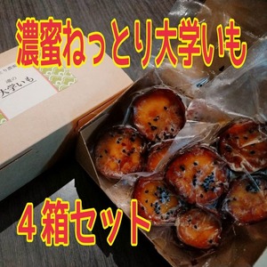 終売【４箱セットねっとり濃蜜「魂の大学いも」】送料無料！