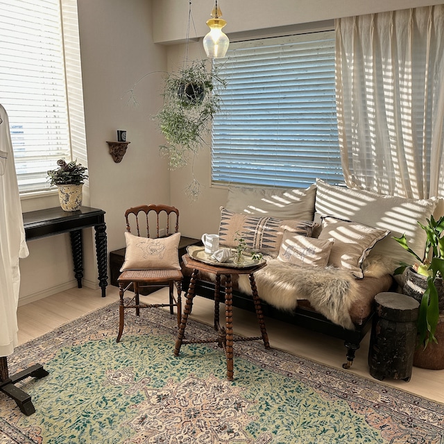 トルコ ヴィンテージラグ TR033 | イスパルタ | 162cm × 257cm