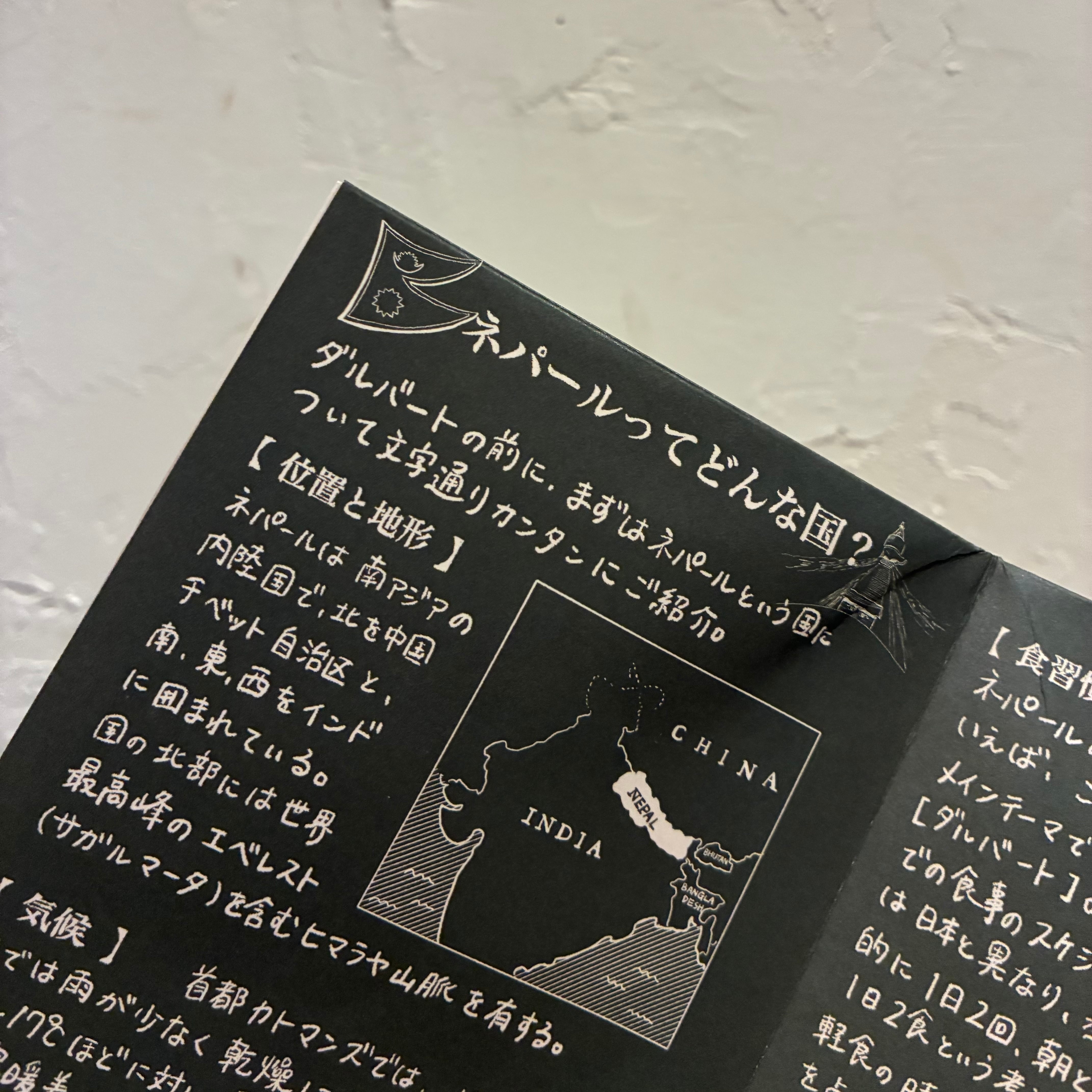 ダルバートは母の味」天野散歩 | スペースぱせか
