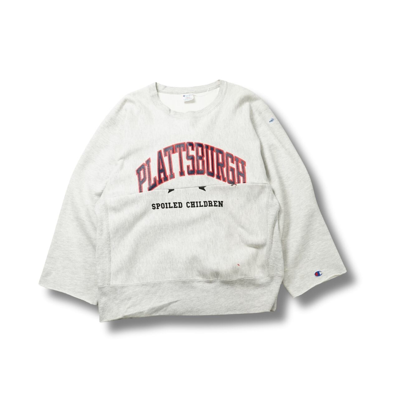 Champion チャンピオン SENECA STATE リメイク スウェット(表記L・実寸L相当)|NA473