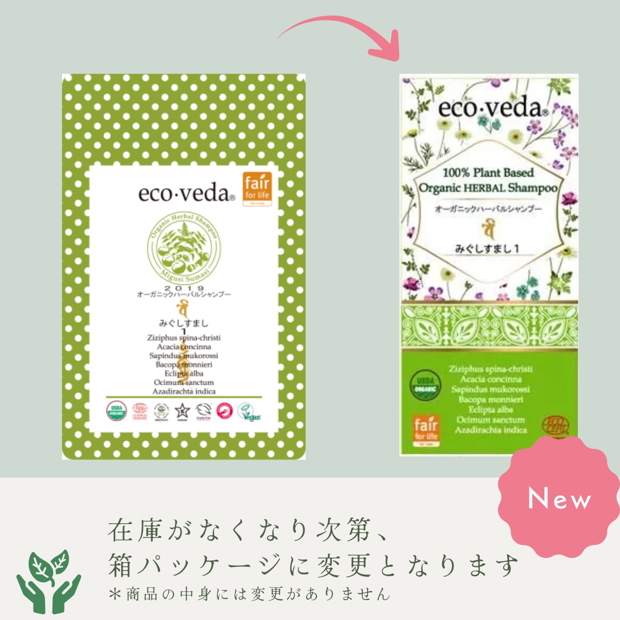 みぐしすまし１｜エコヴェーダ｜2019 オーガニックハーバルシャンプー