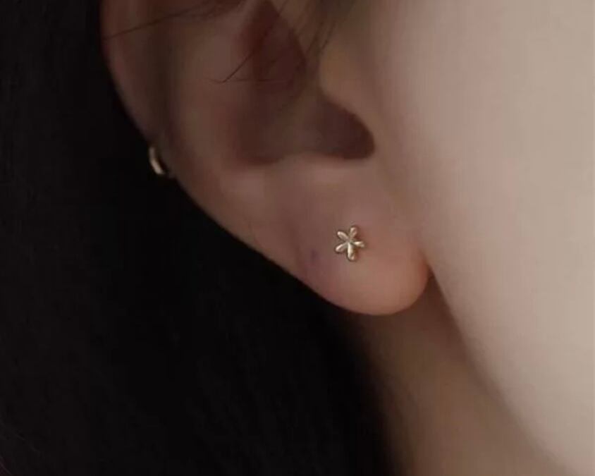 ホロンピアス( E - H )