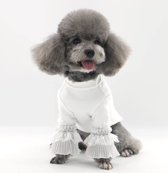 ドッグ 犬 小型犬 ドッグウェア 室内着 ブラウス シャツ セミフレア 細身 襟付き 袖付き ふりふり ひらひら 薄手 レース きれいめ シンプル 上品 おしゃれ クール エレガント モダン 主役級 フォーマル かっちり プリンセス フェアリー 都会的 ラグジュアリー クラシカル フレンチ シック 無地 春 秋 ロングシーズン 春服 秋服 男の子 女の子 成犬 デート お出かけ パーティー イベント 公園 休日 バカンス ホテル レストラン 記念日 カフェ 庭 ガーデン 散歩 室内 おうち インスタ映え