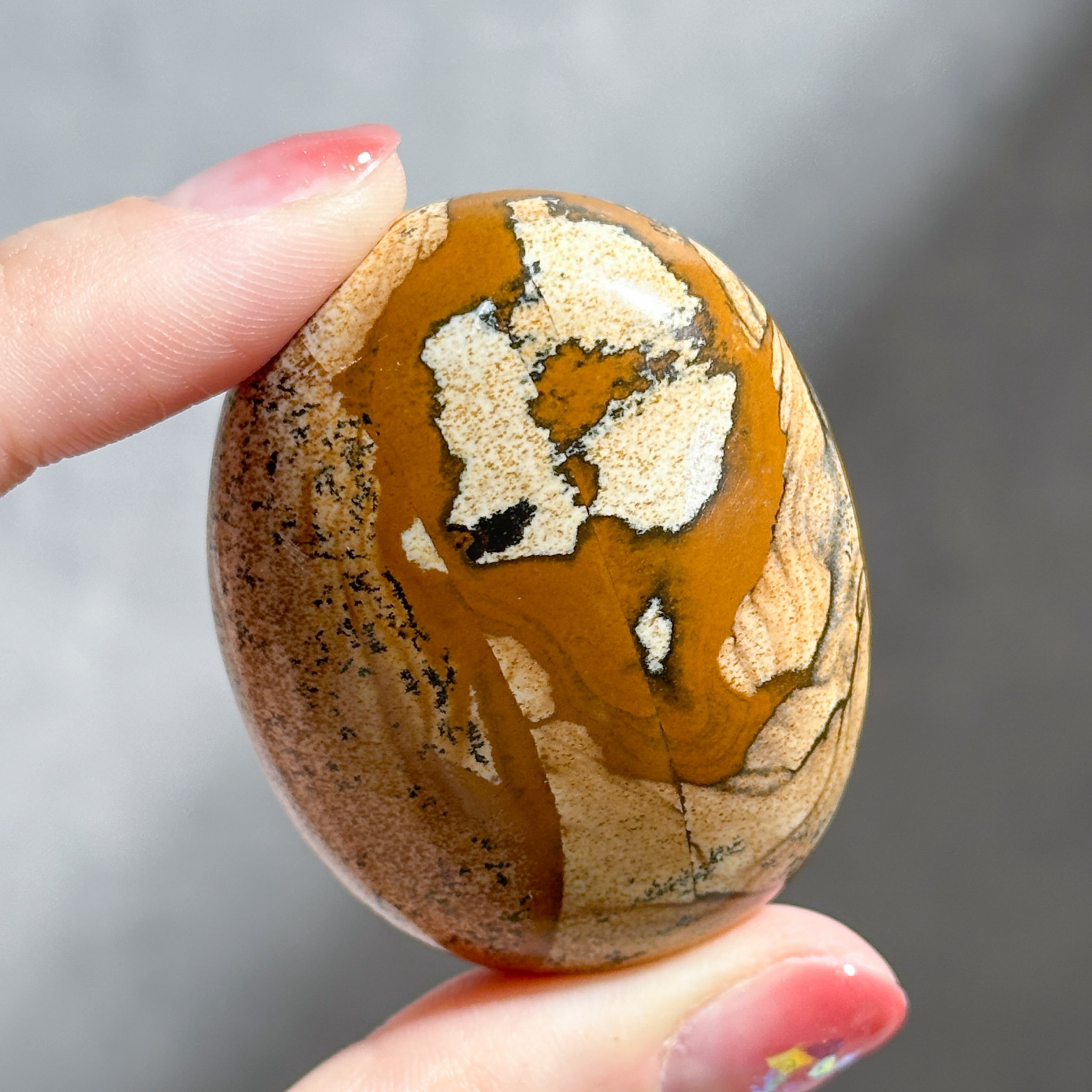 ピクチャージャスパー パームストーン21◇ Picture Jasper ◇ 天然石