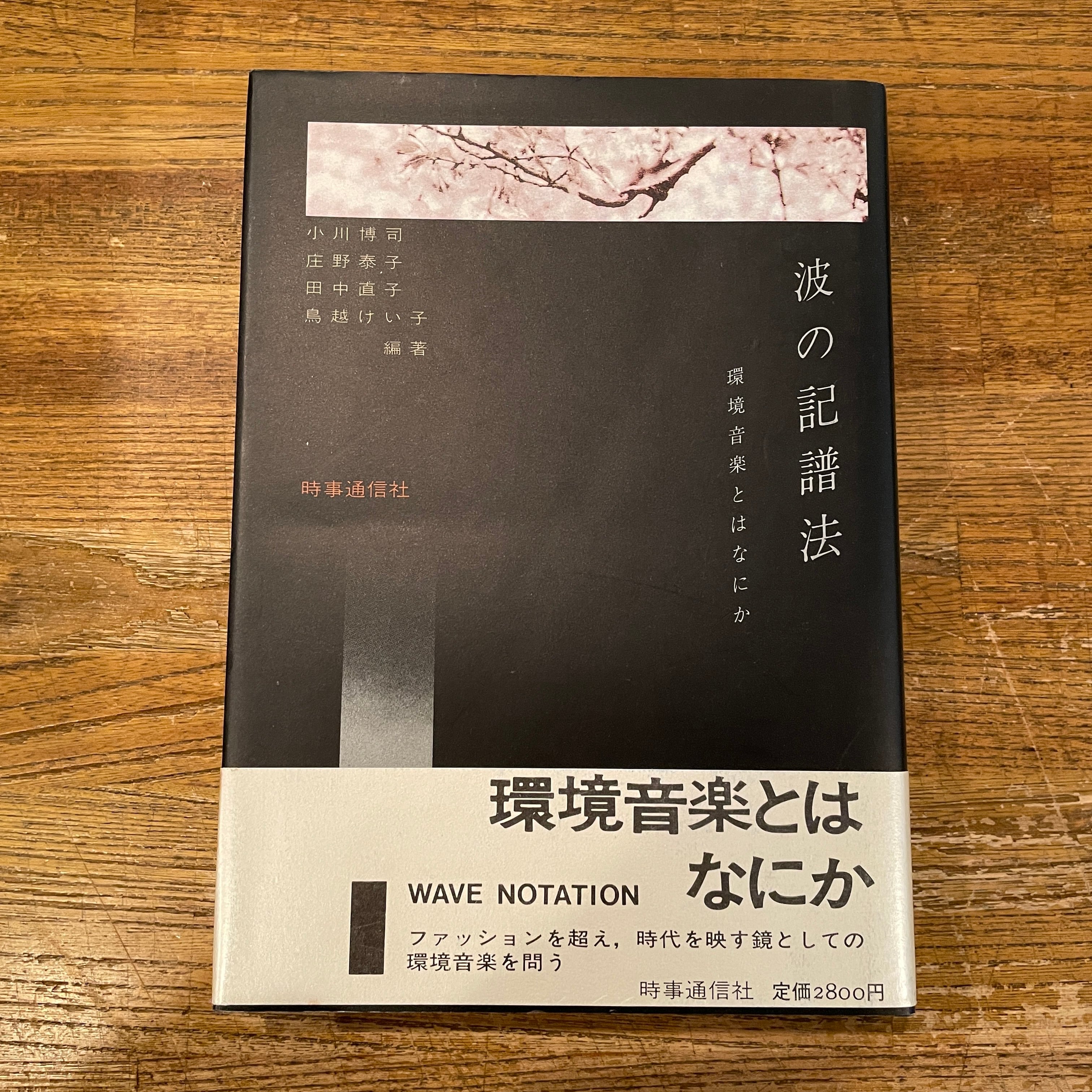 波の記譜法 | 環境音楽とはなにか 波の記譜法: ⁄ 環境音楽とはなにか