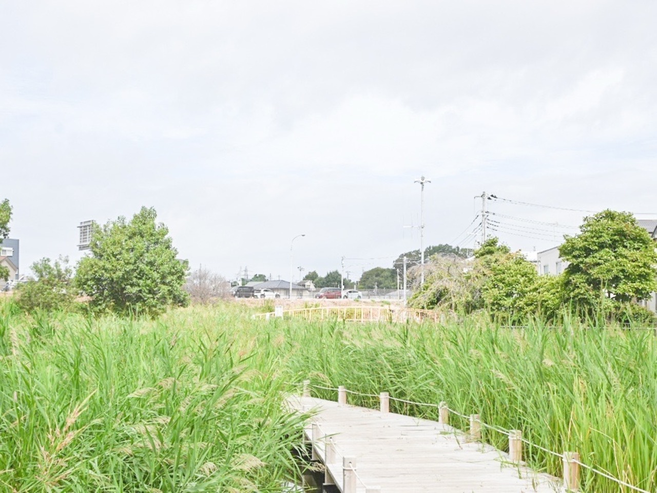松戸市拠点