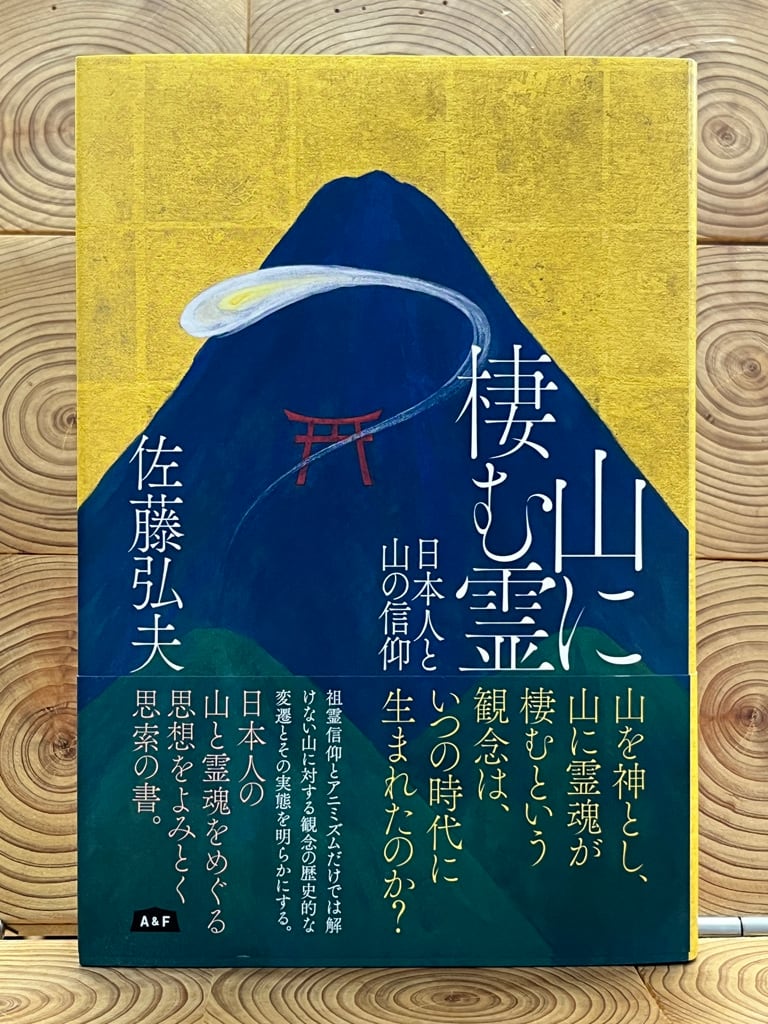 チェ・ゲバラ 革命の人生 上 | 冒険研究所書店